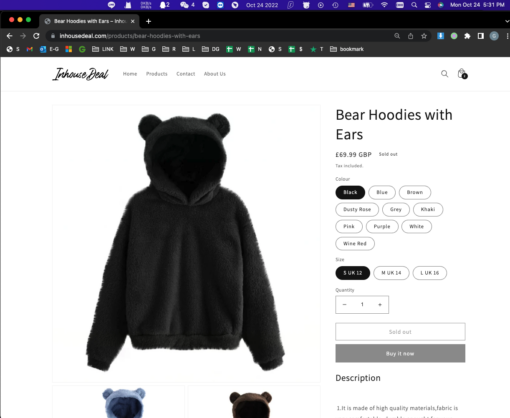 Bear Hoodies with Ears - Image 2