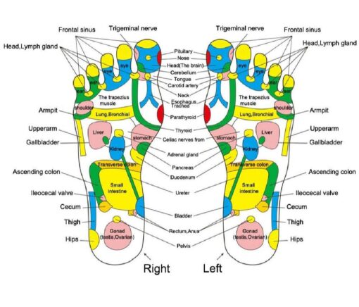 Plastic Let and Foot Roller Massager - Image 4