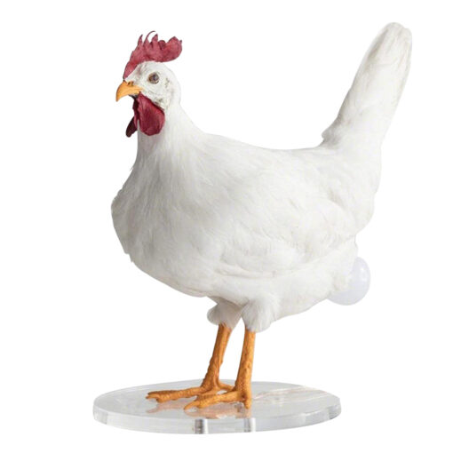 USB Funny Realistic Chicken Lamp - Image 2