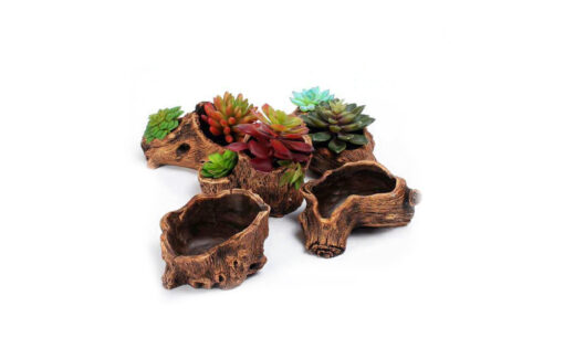 Creative Root Carving Fleshy Plant Flower Pot 2022-03-09 NL