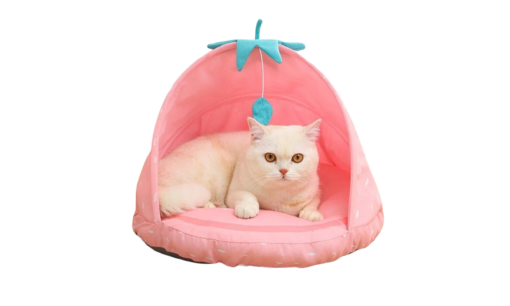 Lemon, Strawberry or Watermelon Style Cute Cat Bed - Image 9