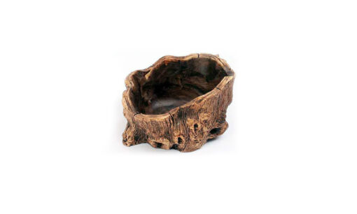 Creative Root Carving Fleshy Plant Flower Pot 2022-03-09 NL - Image 3