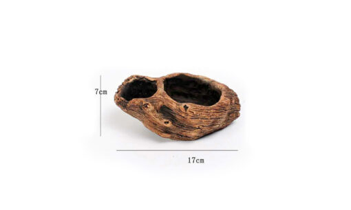 Creative Root Carving Fleshy Plant Flower Pot 2022-03-09 NL - Image 13