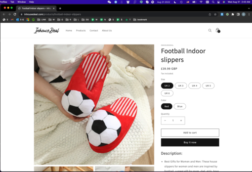 Football Style Indoor slippers - Image 3