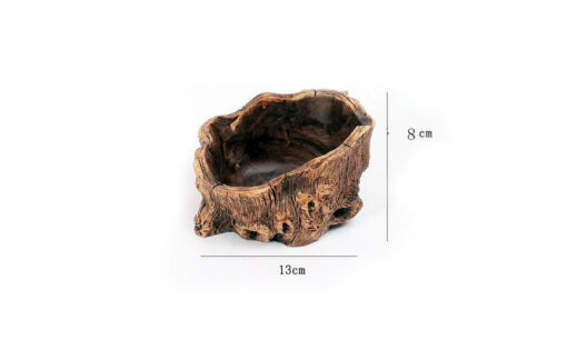 Creative Root Carving Fleshy Plant Flower Pot 2022-03-09 NL - Image 10