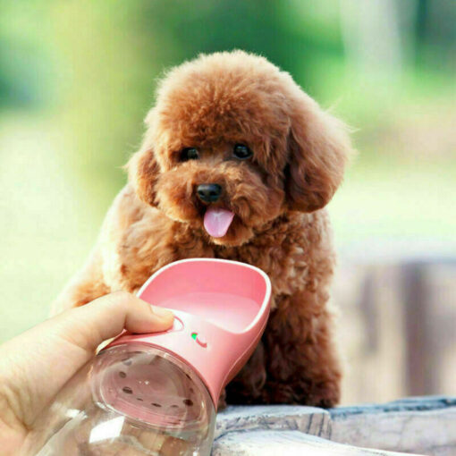 350ml Pet Water Dispenser - Image 9