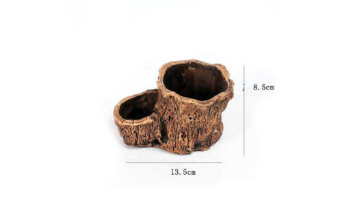 Creative Root Carving Fleshy Plant Flower Pot 2022-03-09 NL - Image 5