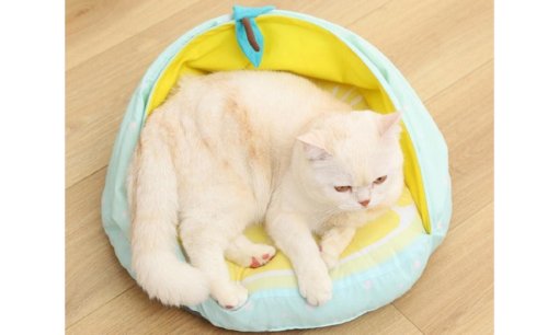 Lemon, Strawberry or Watermelon Style Cute Cat Bed - Image 2