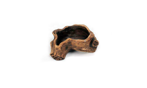 Creative Root Carving Fleshy Plant Flower Pot 2022-03-09 NL - Image 14