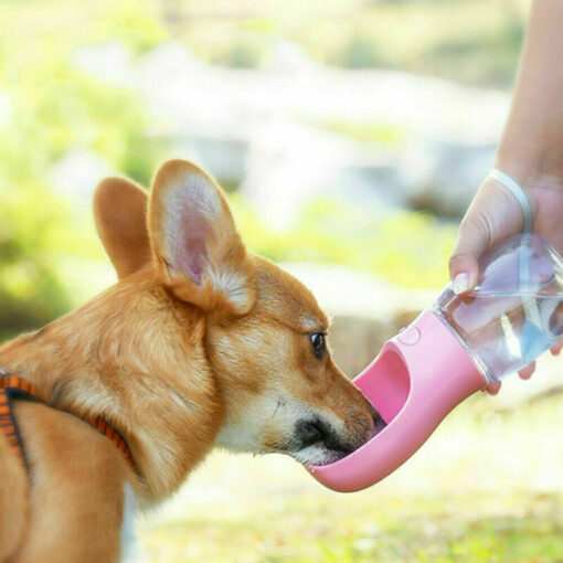 350ml Pet Water Dispenser - Image 6