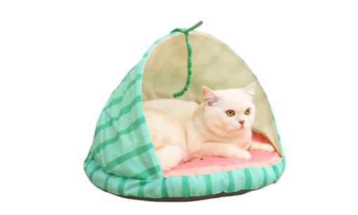 Lemon, Strawberry or Watermelon Style Cute Cat Bed - Image 10