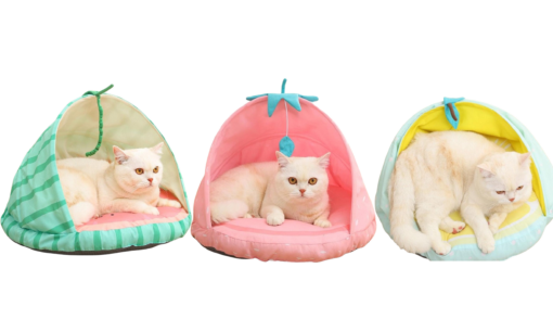 Lemon, Strawberry or Watermelon Style Cute Cat Bed