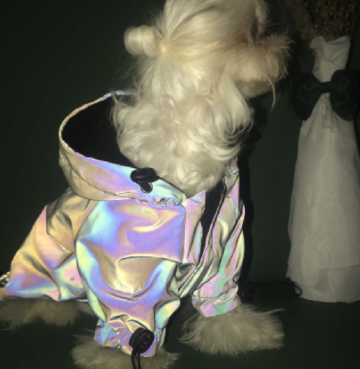 Pet reflective coat - - Image 2