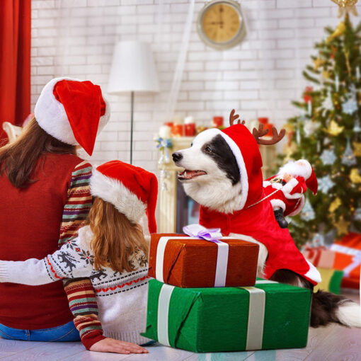 Pet Christmas Style Costume - Image 13