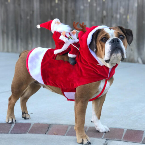 Pet Christmas Style Costume - Image 10