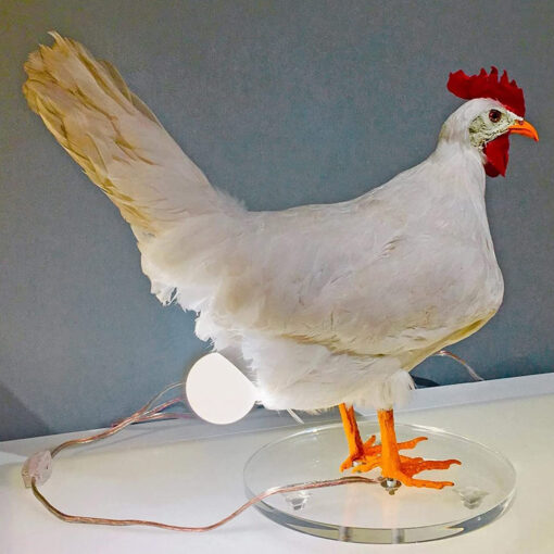 USB Funny Realistic Chicken Lamp - Image 3