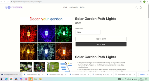 Solar Garden Path Lights - Image 8