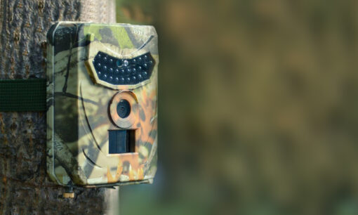 Mini 1080P 12MP Wildlife Camera with Optional 32GB SD card