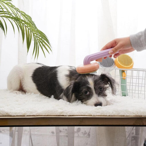 Pumpkin Shape Pet Hair Removal Com - Image 7