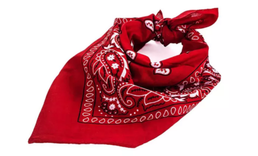 Pack of 10 or 20 Assorted Bandana