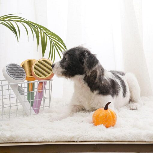 Pumpkin Shape Pet Hair Removal Com - Image 3