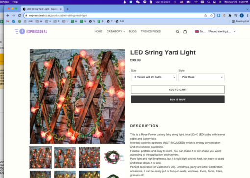 One or Two 3M, 6M Flower LED String Yard Lights - Image 8