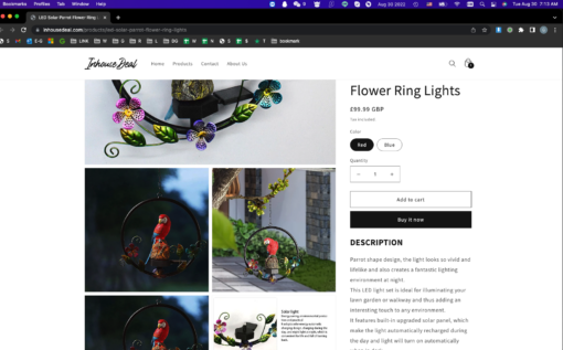 LED Solar Parrot Flower Ring Lights - Image 3