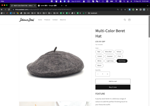 Multi-Color Beret Hat - Image 17