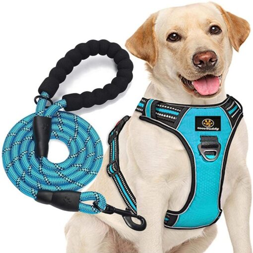 Pet Harness and Leash - Image 9