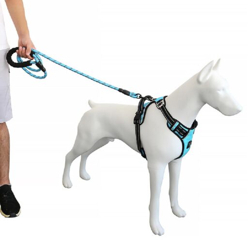 Pet Harness and Leash - Image 2