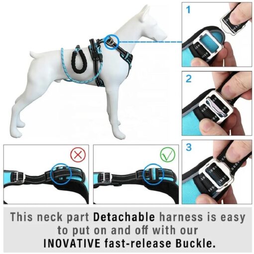 Pet Harness and Leash - Image 8