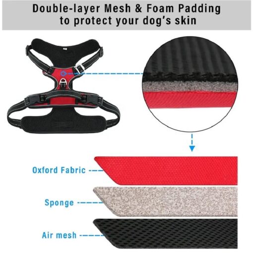 Pet Harness and Leash - Image 6