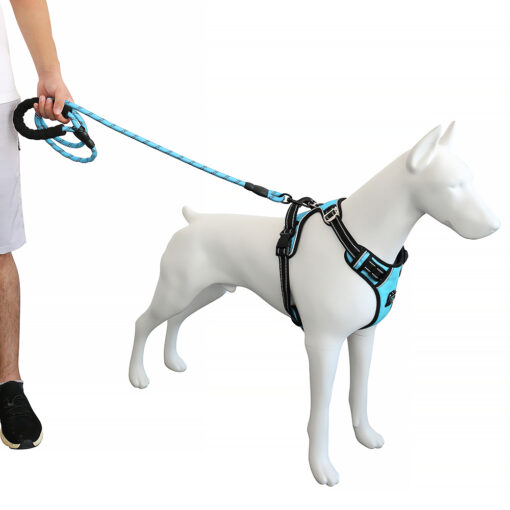 Pet Harness and Leash - Image 32