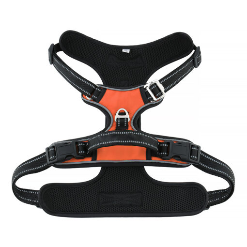 Pet Harness and Leash - Image 26