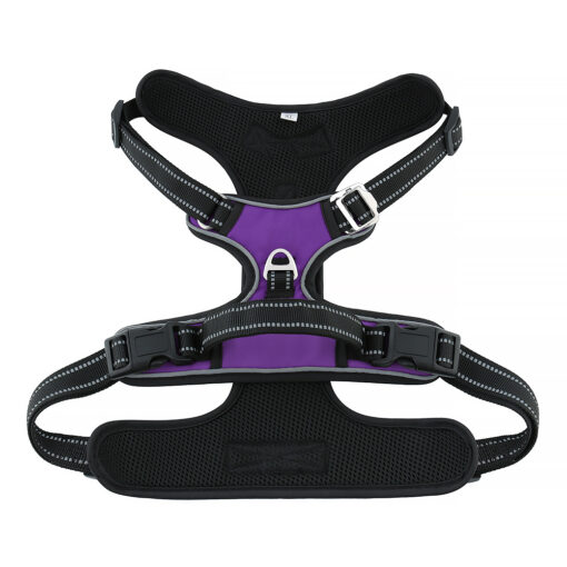 Pet Harness and Leash - Image 24