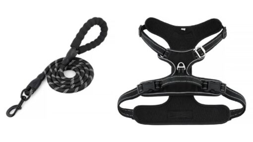 Pet Harness and Leash