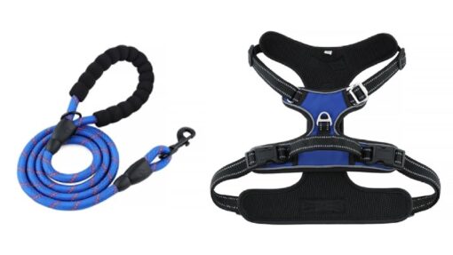 Pet Harness and Leash - Image 4