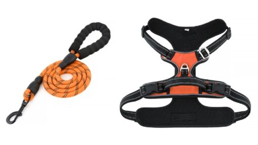 Pet Harness and Leash - Image 3