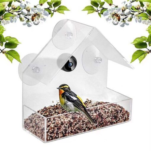 Smart Bird Feeder with Camera - Image 8