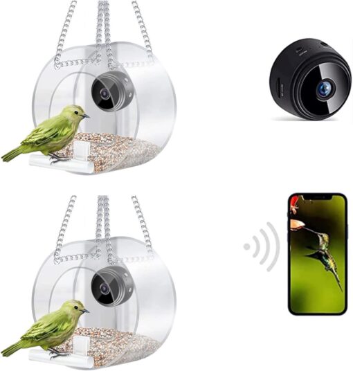 Smart Bird Feeder with Camera - Image 9