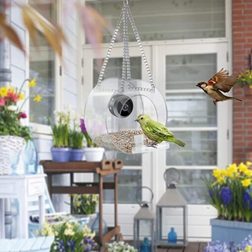 Smart Bird Feeder with Camera - Image 3