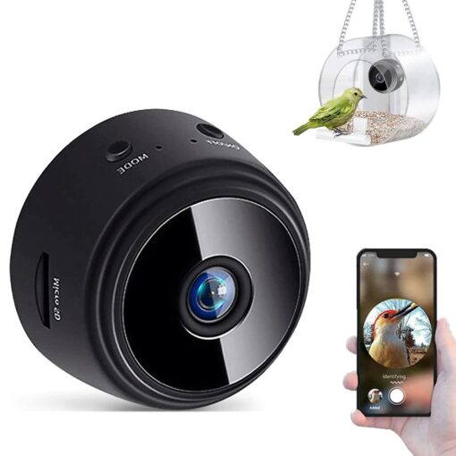 Smart Bird Feeder with Camera - Image 10