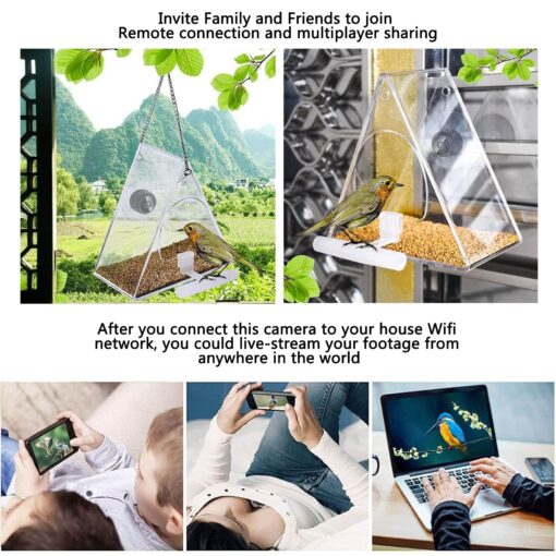 Smart Bird Feeder with Camera - Image 13