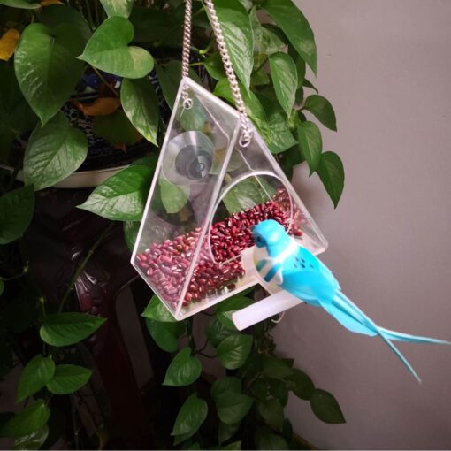 Smart Bird Feeder with Camera - Image 14