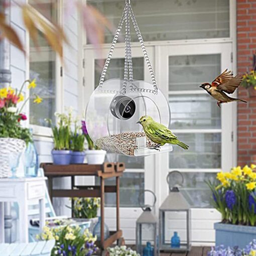 Smart Bird Feeder with Camera - Image 15