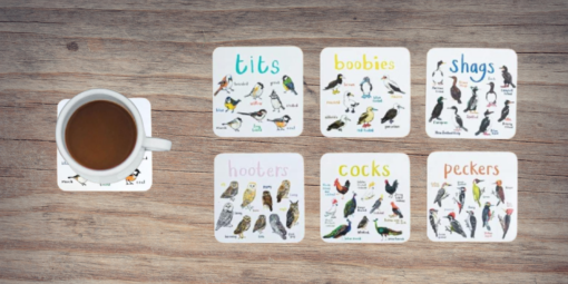 Set of 6 Bird Pun Coaster