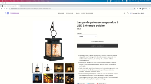 Garden Solar Hanging Lantern-2022-03-25 NL - Image 7