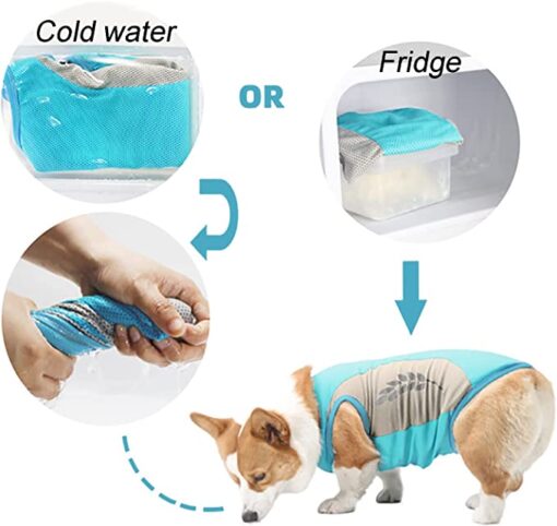 Pet Dog Summer Cooling Vest - Image 3