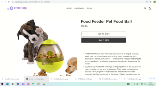 Pet Food Ball Dispenser - Image 2