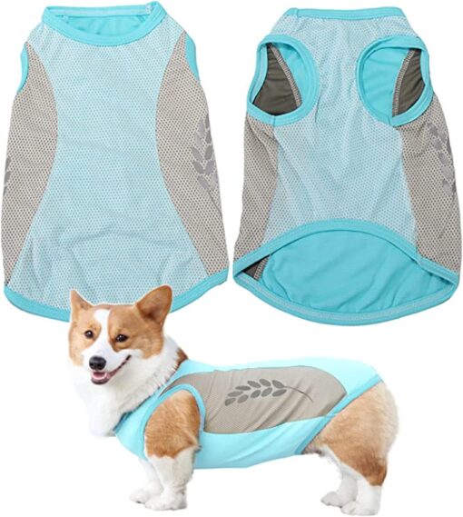 Pet Dog Summer Cooling Vest - Image 6